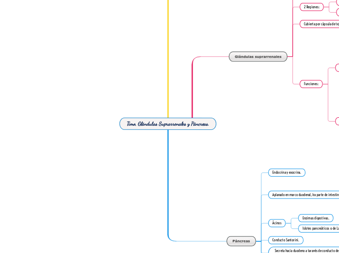 Timo, Glándulas Suprarrenales y Páncreas.