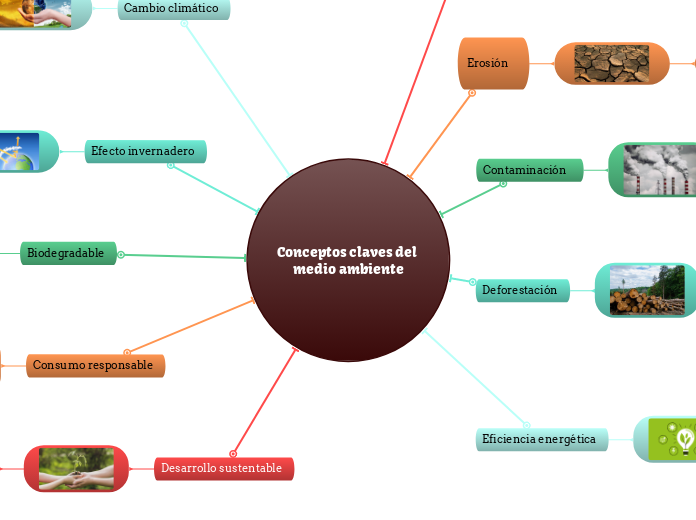 Conceptos claves del medio ambiente