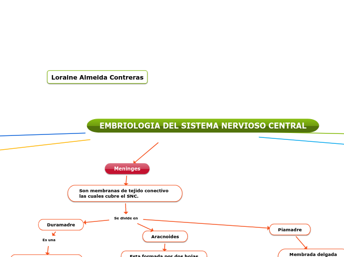 EMBRIOLOGIA DEL SISTEMA NERVIOSO CENTRAL