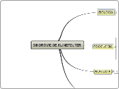 SINDROME DE KLINEFEL