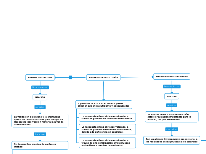 PRUEBAS DE AUDITORÍA