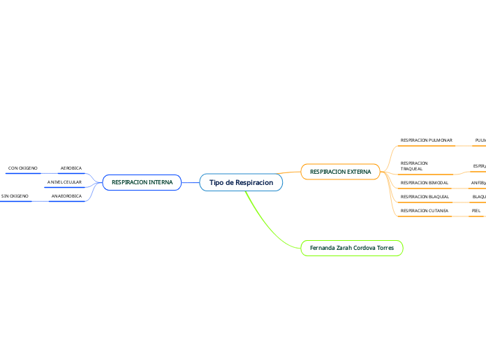 Tipo de Respiracion