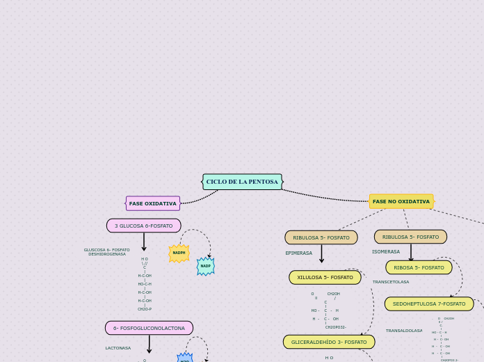 CICLO DE LA PENTOSA