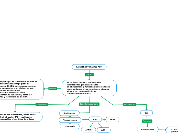 LA ESTRUCTURA DEL ADN