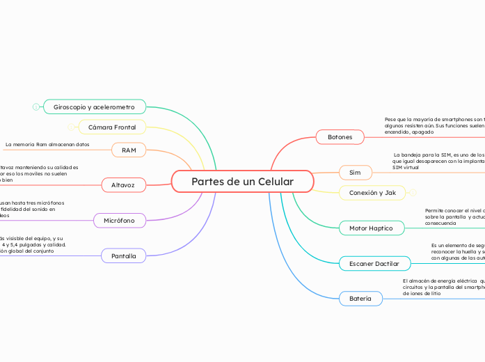 Partes de un Celular