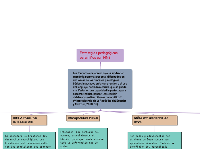 Estrategias pedagógicas para niños con NNE