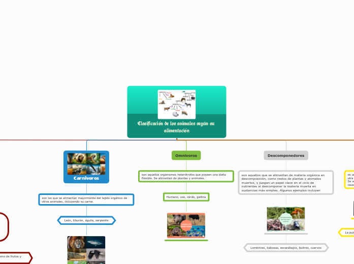 Clasificación de los animales según su alimentación