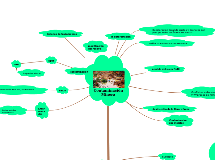 Contaminación 
        Minera