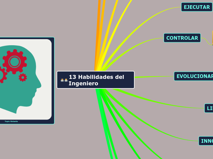 13 Habilidades del Ingeniero