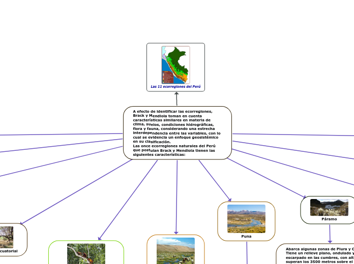 A efecto de identificar las ecorregiones, Brack y Mendiola toman en cuenta características similares en materia de clima, suelos, condiciones hidrográficas, flora y fauna, considerando una estrecha
interdependencia entre las variables, con lo cual se evidencia un enfoque geosistémico en su clasificación.                                      Las once ecorregiones naturales del Perú que postulan Brack y Mendiola tienen las siguientes características: