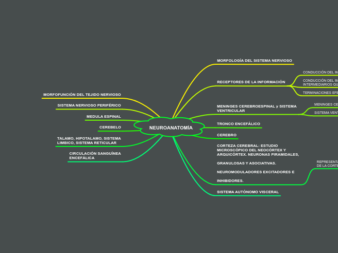 NEUROANATOMÍA