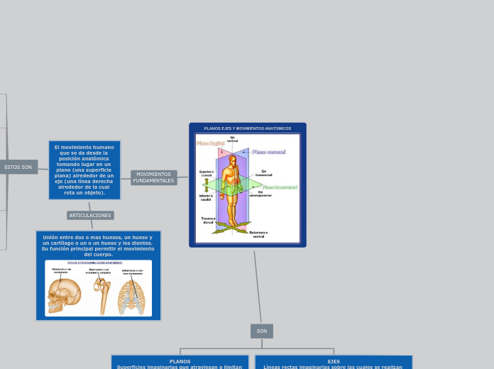 PLANOS EJES Y MOVIMIENTOS ANATOMICOS