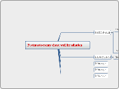 Postmastectomy chest wall irradiation 