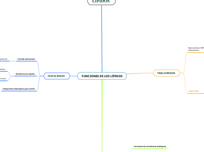 FUNCIONES DE LOS LÍPIDOS