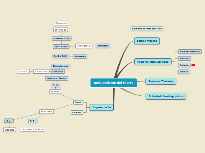 Sample Mind Map