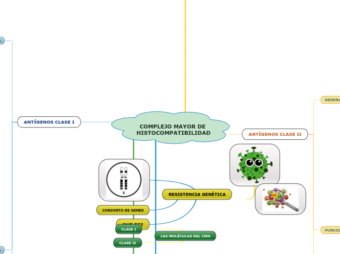 COMPLEJO MAYOR DE HISTOCOMPATIBILIDAD