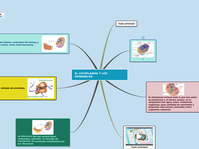 Sample Mind Map