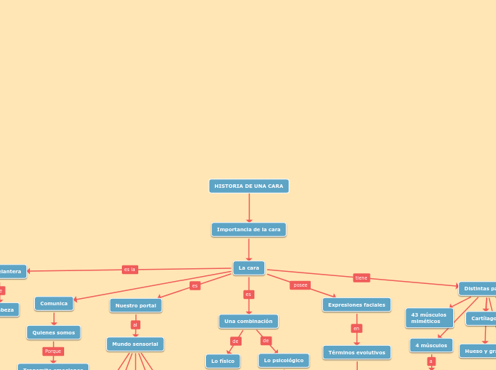 Mapa conceptual