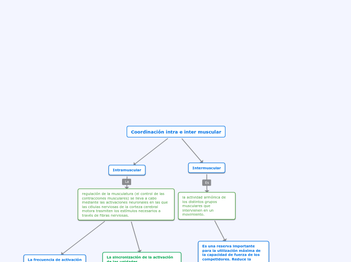 Coordinación intra e inter muscular