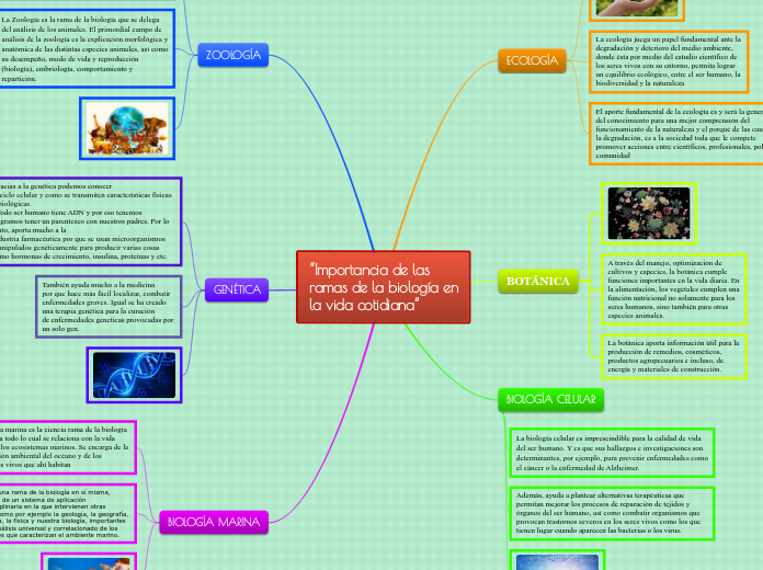 “Importancia de lasramas de la biología en la vida cotidiana”