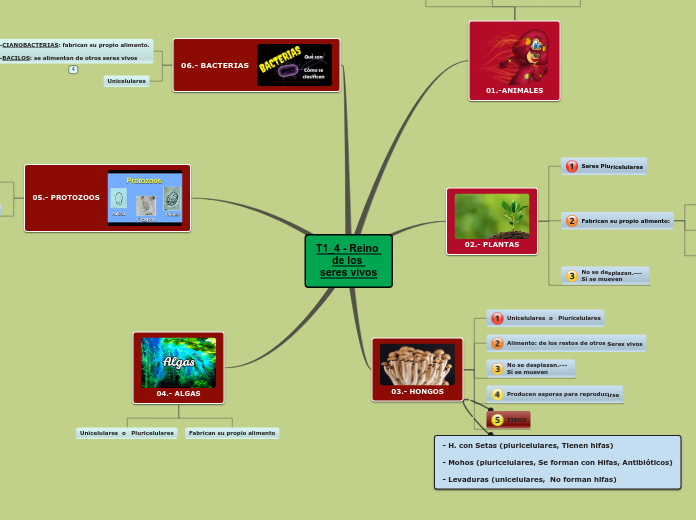 Sample Mind Map