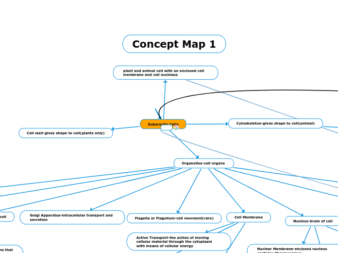 Final Concept Map