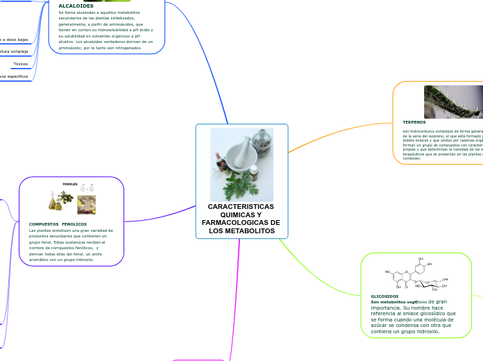 CARACTERISTICAS QUIMICAS Y FARMACOLOGICAS DE LOS METABOLITOS