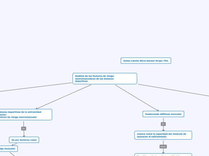 Análisis de los factores de riesgo neuromusculares de las lesiones
deportivas