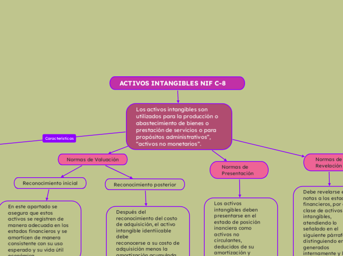 ACTIVOS INTANGIBLES NIF C-8 