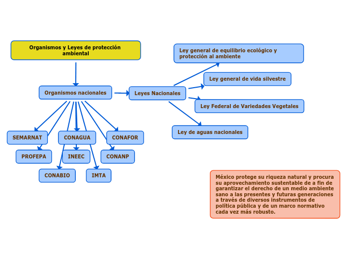 Organismos y Leyes de protección ambiental