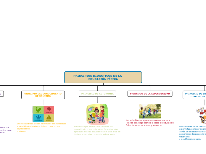 PRINCIPIOS DIDACTICOS DE LA            EDUCACIÓN FÍSICA