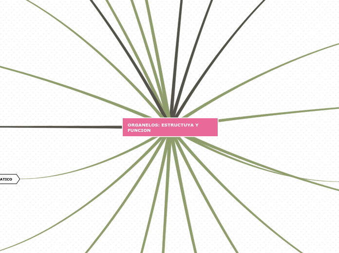 ORGANELOS: ESTRUCTUYA Y FUNCION