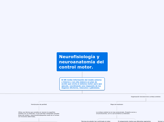 MAPA CONCEPTUAL-MARIO CRUZ 6ºB