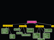 Mapa Conceptual