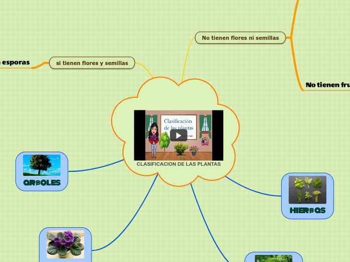 CLASIFICACION DE LAS PLANTAS