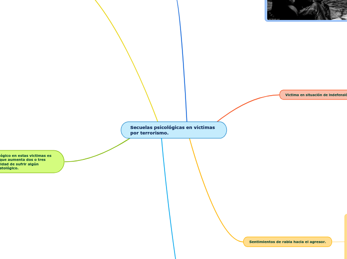 Secuelas psicológicas en victimas por terrorismo.