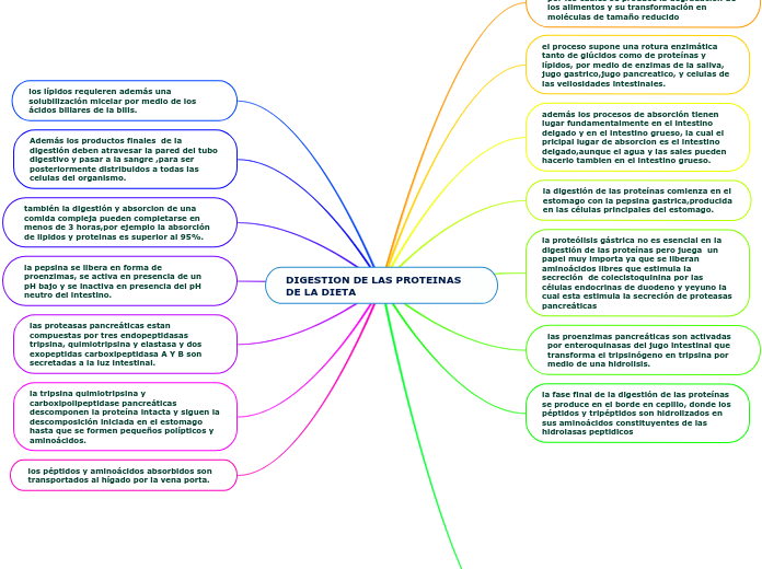 DIGESTION DE LAS PROTEINAS DE LA DIETA