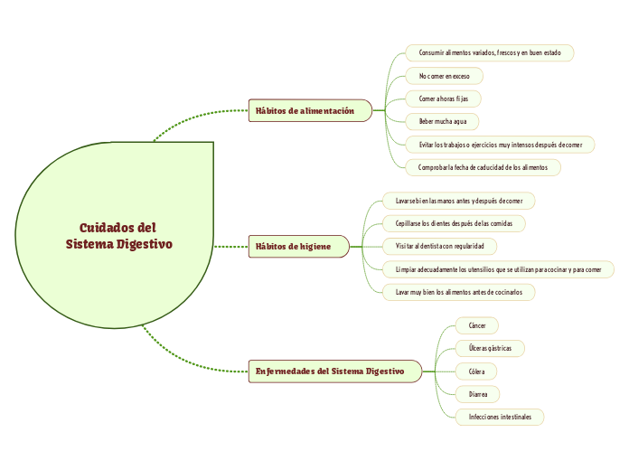 Cuidados del Sistema Digestivo