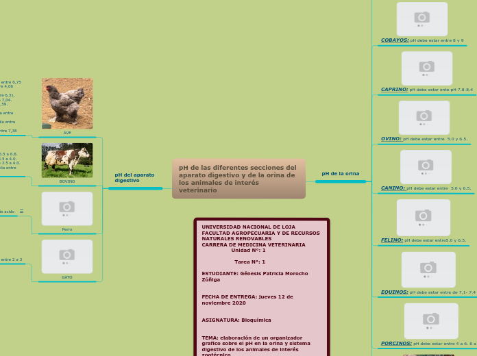 pH de las diferentes secciones del aparato digestivo y de la orina de los animales de interés veterinario