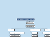 FISIOTERAPIA DEL SUELO PELVICO