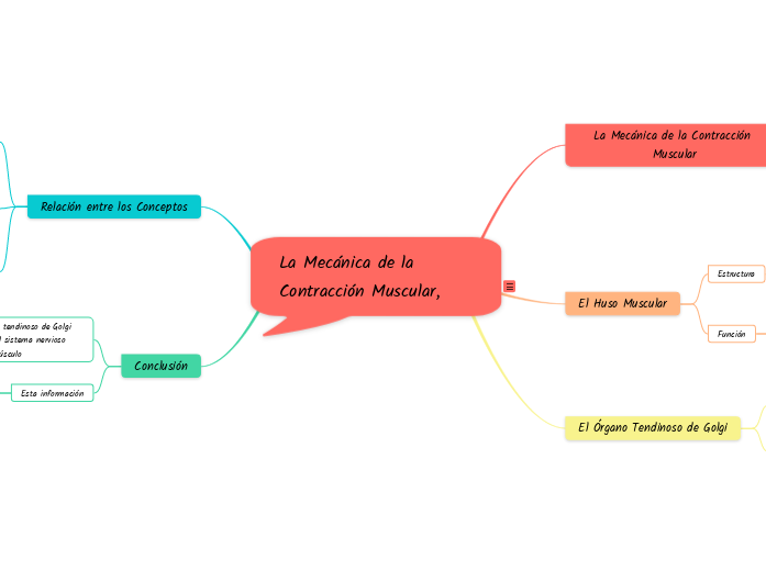 La Mecánica de la Contracción Muscular, Huso Muscular y Órgano Tendinoso de Golgi: Una Visión de Conjunto