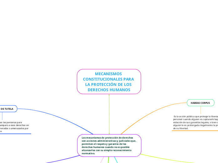 MECANISMOS CONSTITUCIONALES PARA LA PROTECCIÓN DE LOS DERECHOS HUMANOS