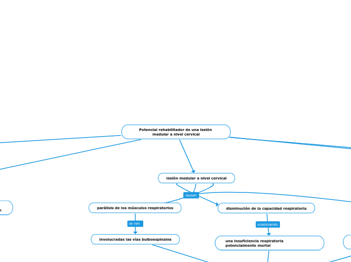 Potencial rehabilitador de una lesión medular a nivel cervical