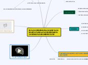 EL CEREBRO NOS BUSCA LA VERDAD SINO SOBREVIVIR