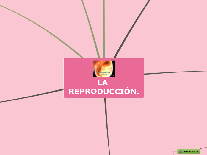 LA REPRODUCCIÓN.