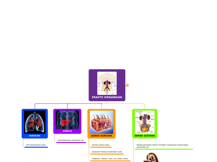 Organigrama arbol