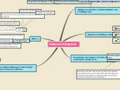 Sample Mind Map