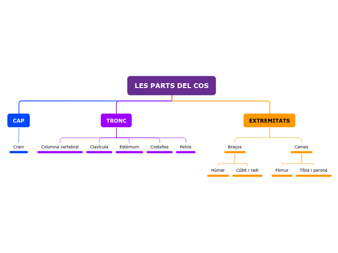 LES PARTS DEL COS (1r CICLE INICIAL)