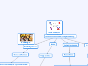 Coyle_MacromoluculeConceptMap