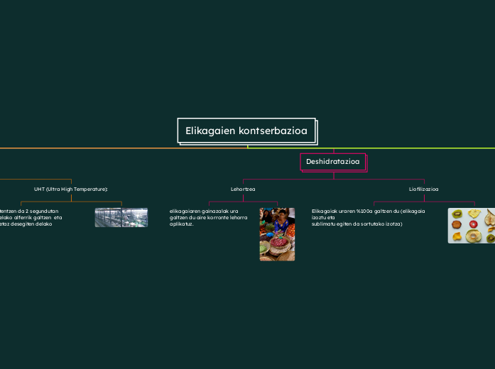 Elikagaien kontserbazioa